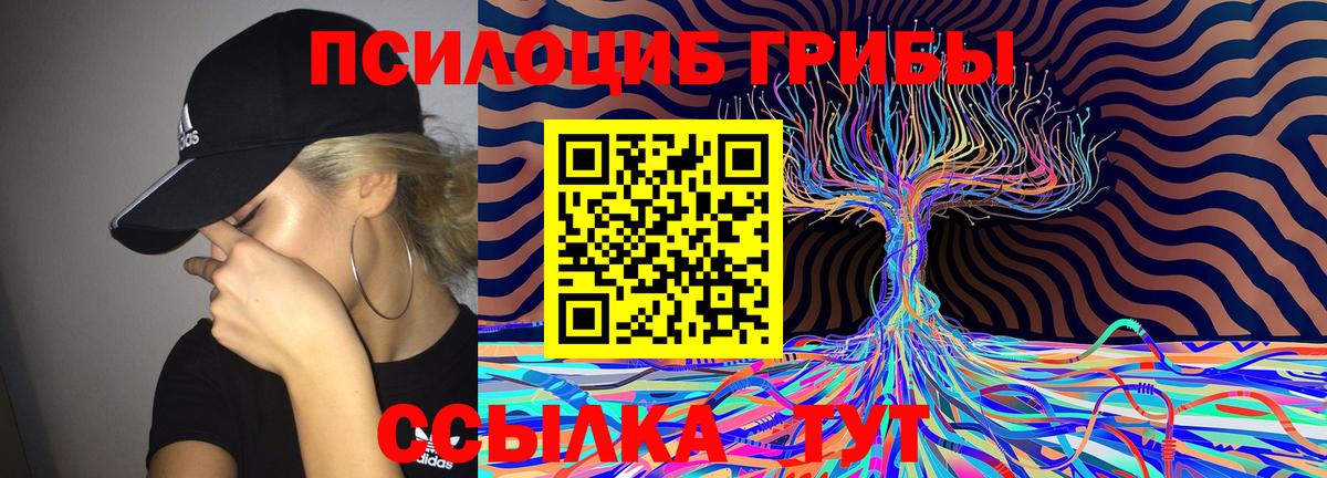 Галлюциногенные грибы Magic Shrooms  Псилоцибиновые грибы мицелий  Великие Луки  наркошоп  Вход с VPN 